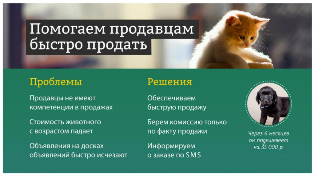 photo_2025-09-09_12-32-55 (6).jpg